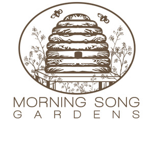 Morning Song Skin Care